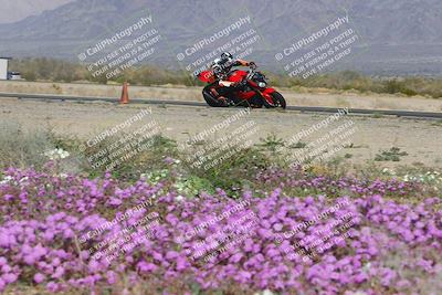 media/Feb-04-2023-SoCal Trackdays (Sat) [[8a776bf2c3]]/Turn 15 Inside Blooming (1050am)/